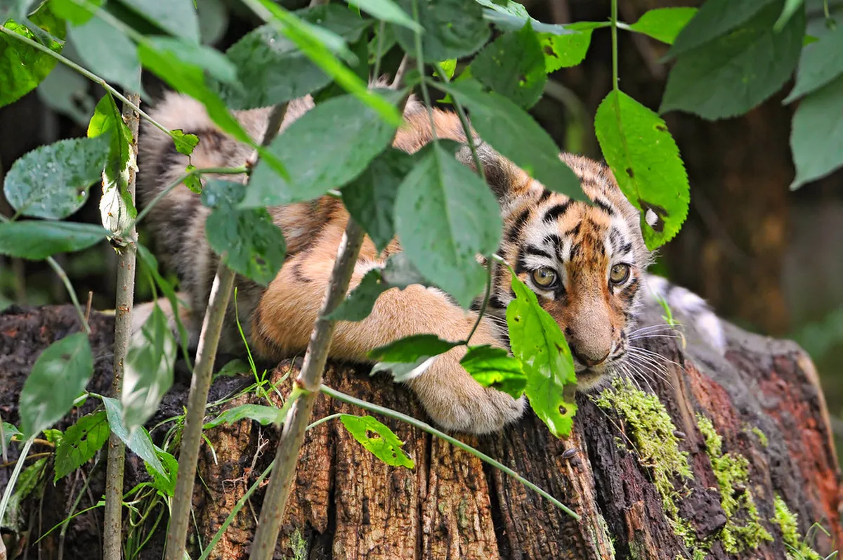 Aalborg Hidden Gems: Uncovering Denmark's Secret Side