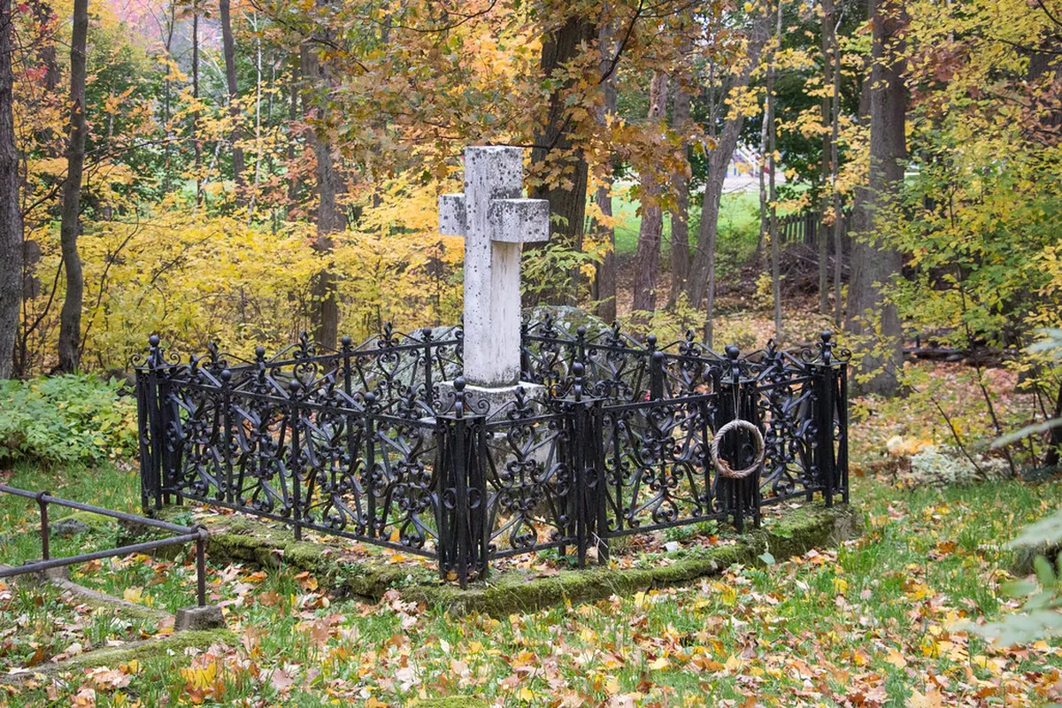 Discover Aberdeen's Hidden Walking Routes for 2025