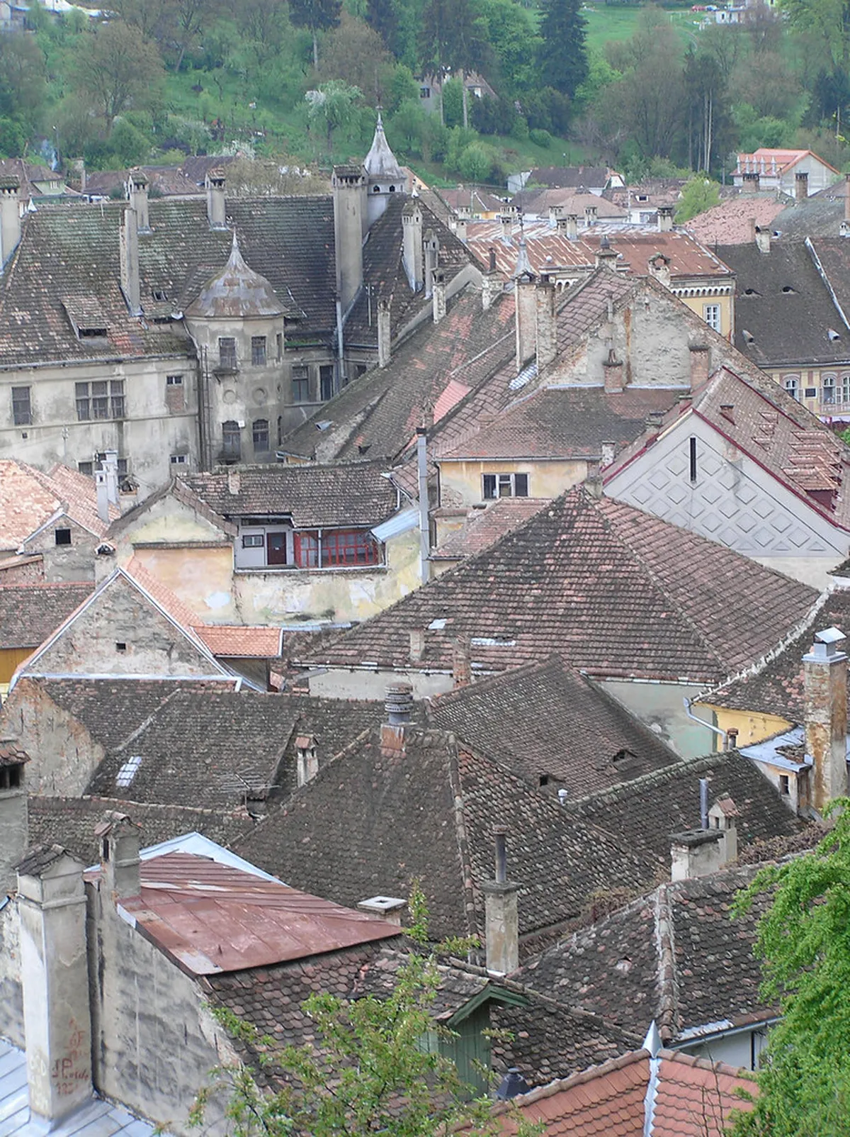 Affordable Sighișoara Eateries: Local Flavors on a Budget