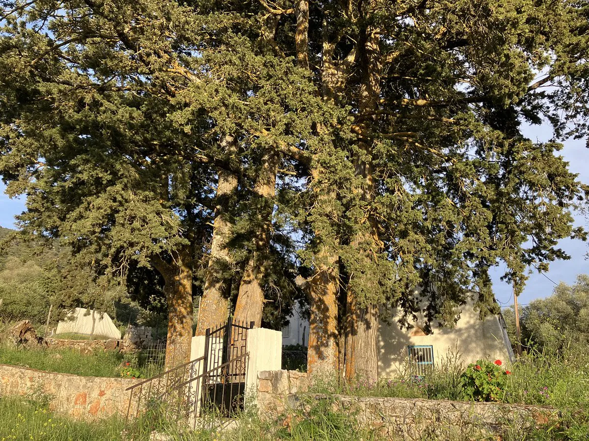 Agios Nikolaos Hidden Gems: Uncover Secret Treasures 2025