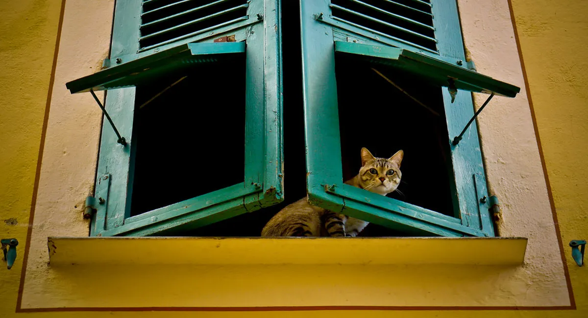 Uncovering Ajaccio Hidden Gems in 2025: A Local's Guide