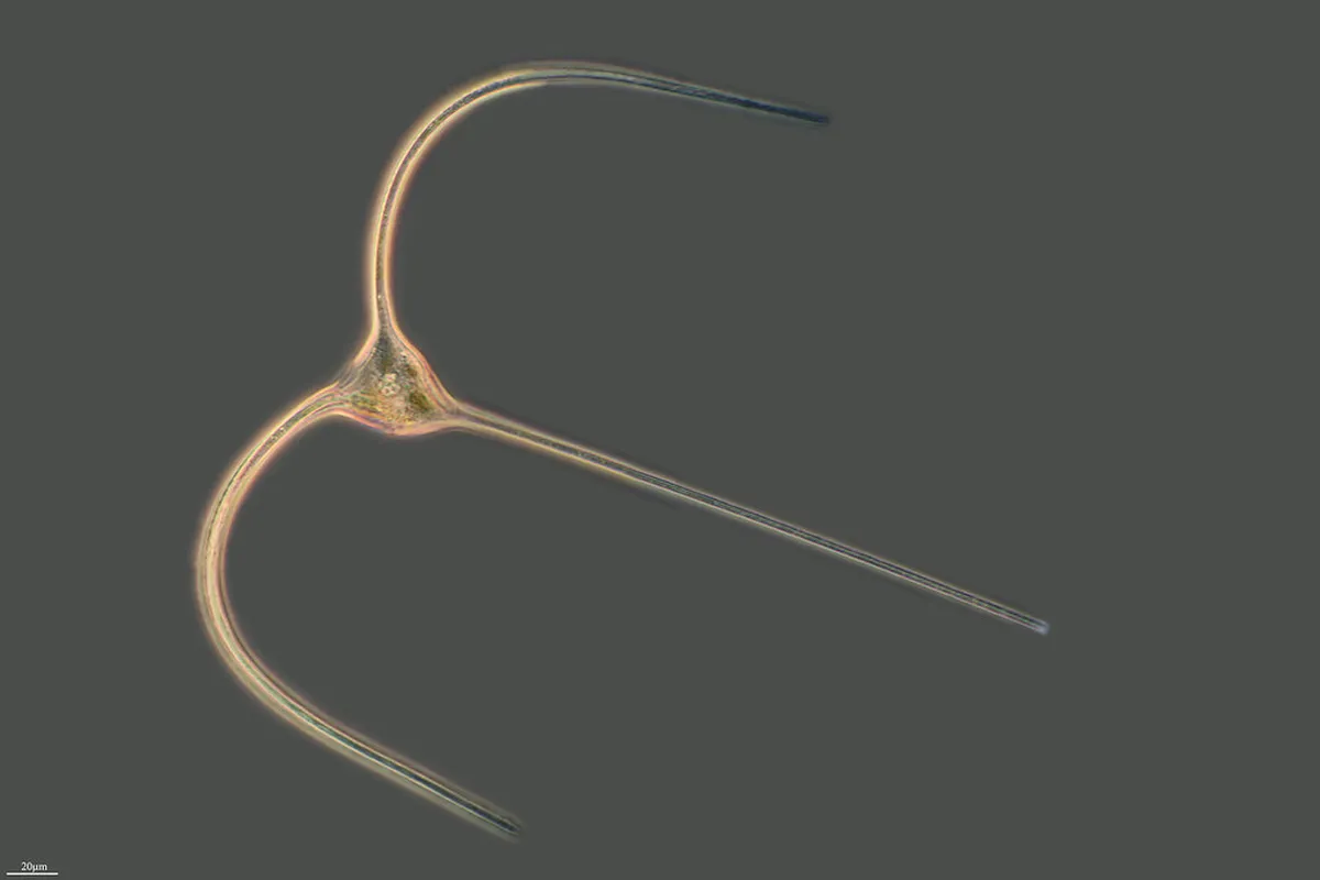 Alicante Hidden Gems: Discover Secret Spots in 2025