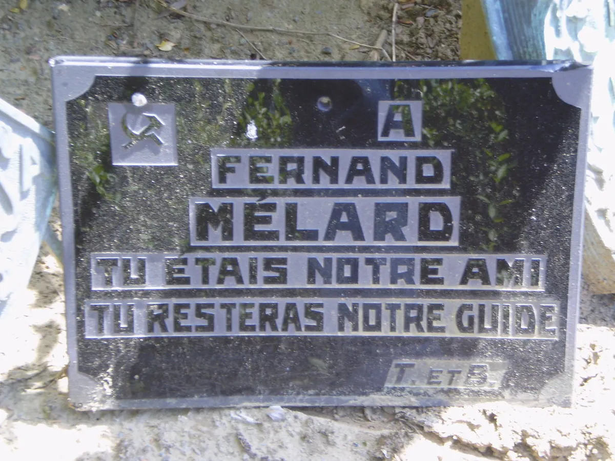 Antwerp Alternative City Guide: Hidden Gems for 2025