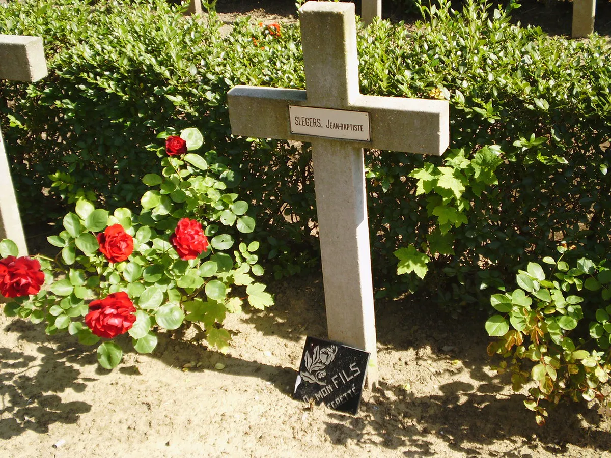 Discover Antwerp's Quiet Parks & Serene Gardens 2025