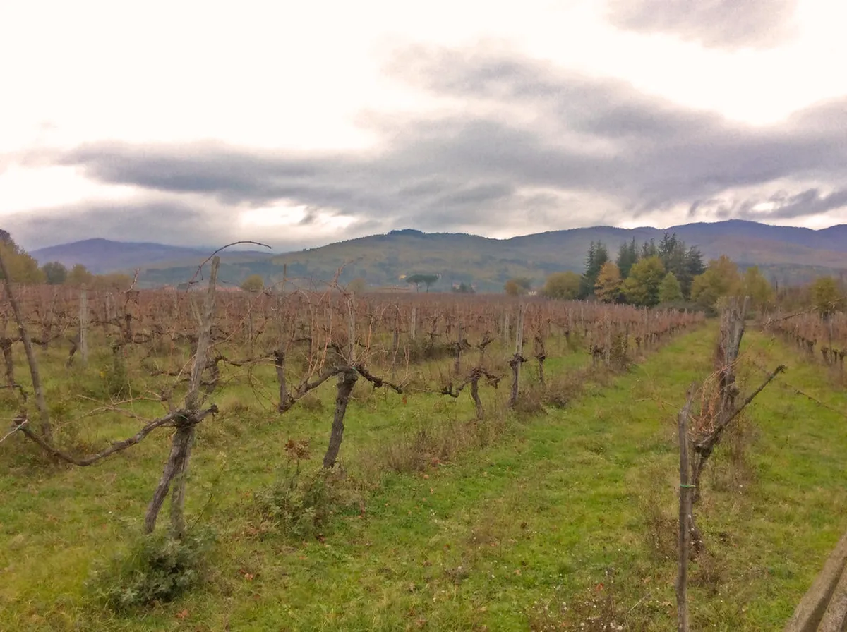 Arezzo Secret Gardens Guide: Uncovering Hidden Green Gems