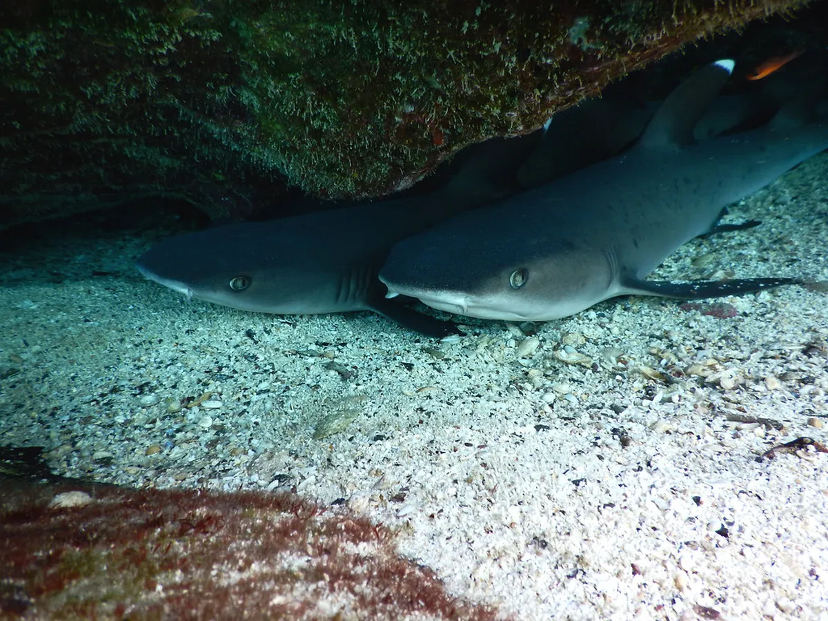 Arrecife Hidden Gems: Uncover Lanzarote's Secret Spots