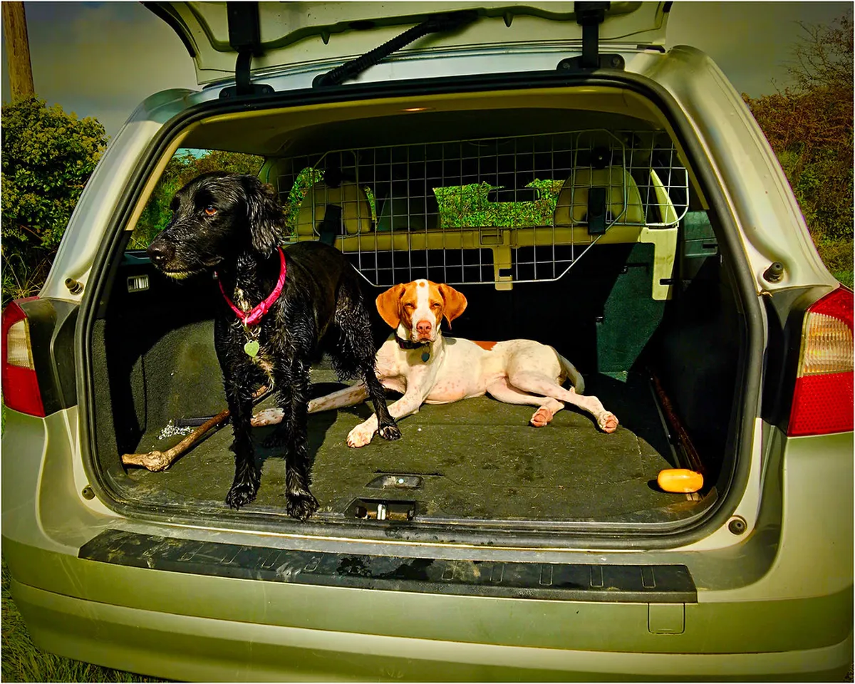 Discover Assisi Local Artisan Workshops in 2025