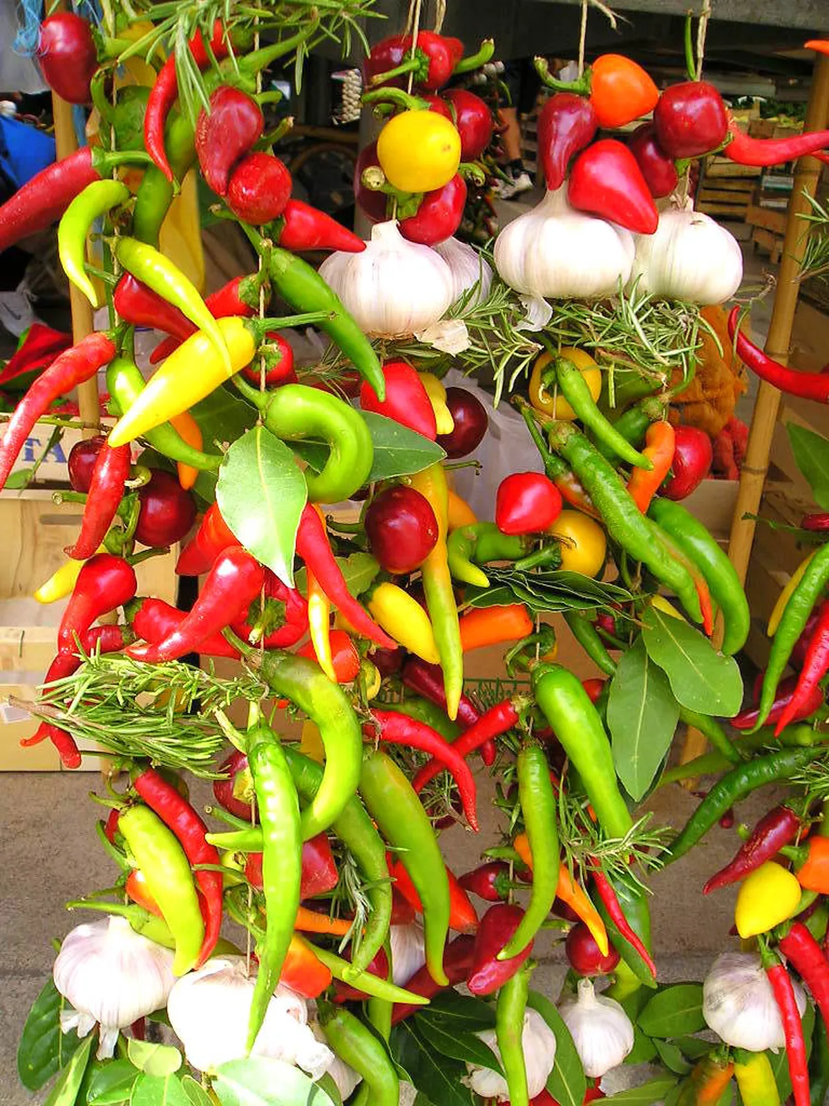 Authentic Rovinj Experiences: Your 2025 Croatia Travel Guide