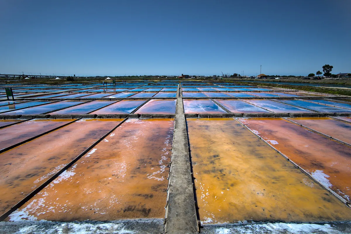 Aveiro Artisan Shops Guide: Unique Crafts & Gifts 2025