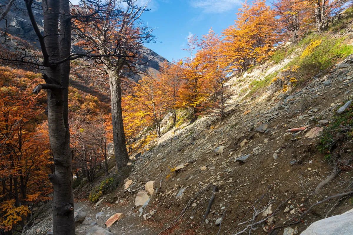 Avoiding Las Palmas Crowds: Your 2025 Gran Canaria Guide