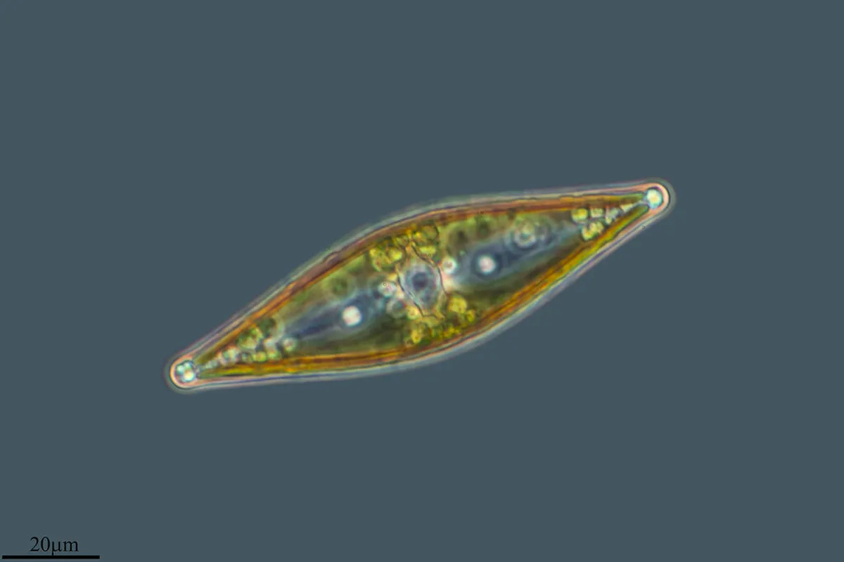 Barcelona's Hidden Gems: Uncovering Secret Spots in 2025