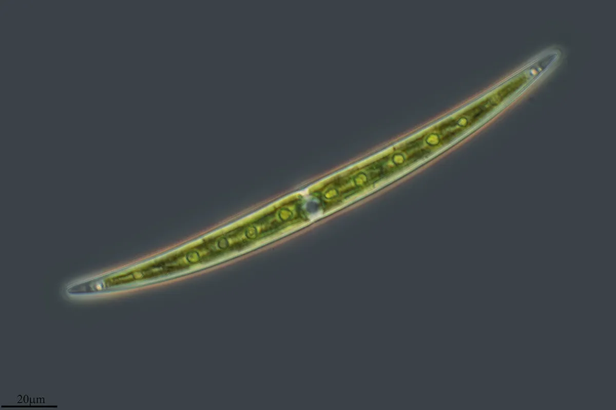 Discover Bari's Hidden Viewpoints: Top Spots for 2025