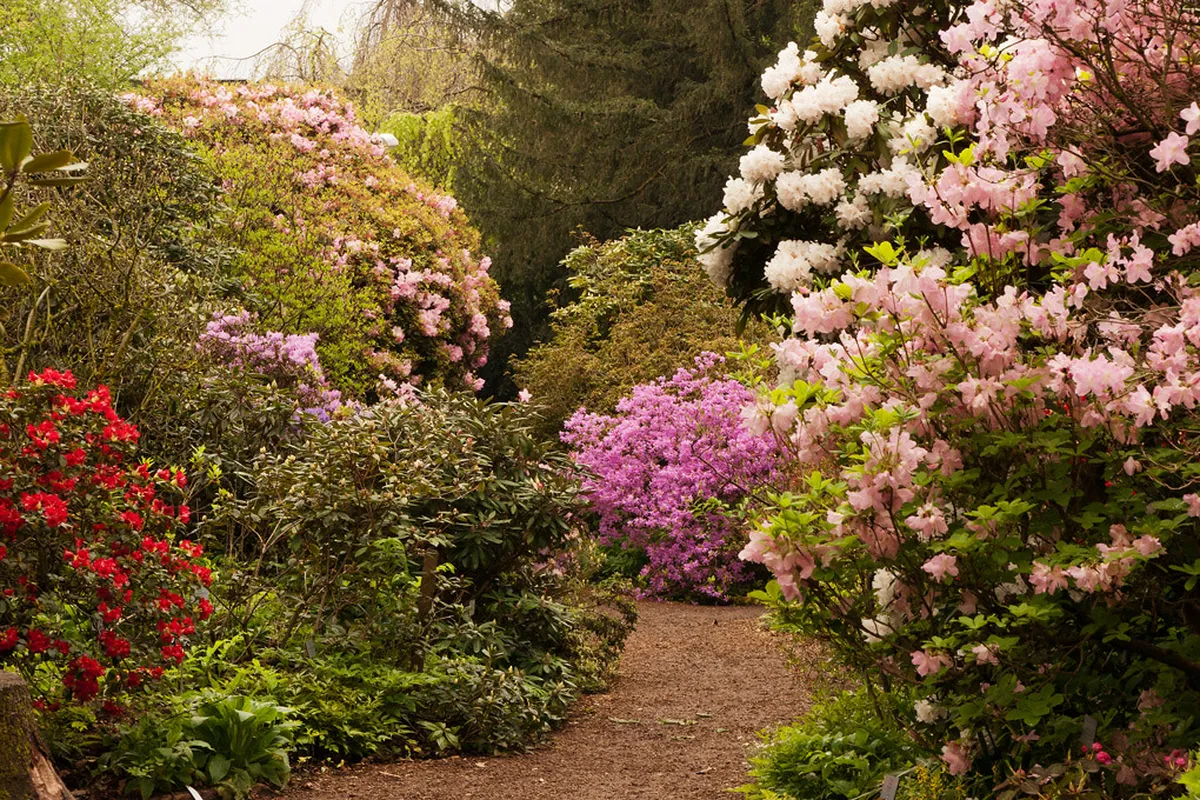 Discover Basel's Secret Gardens: Your 2025 Guide