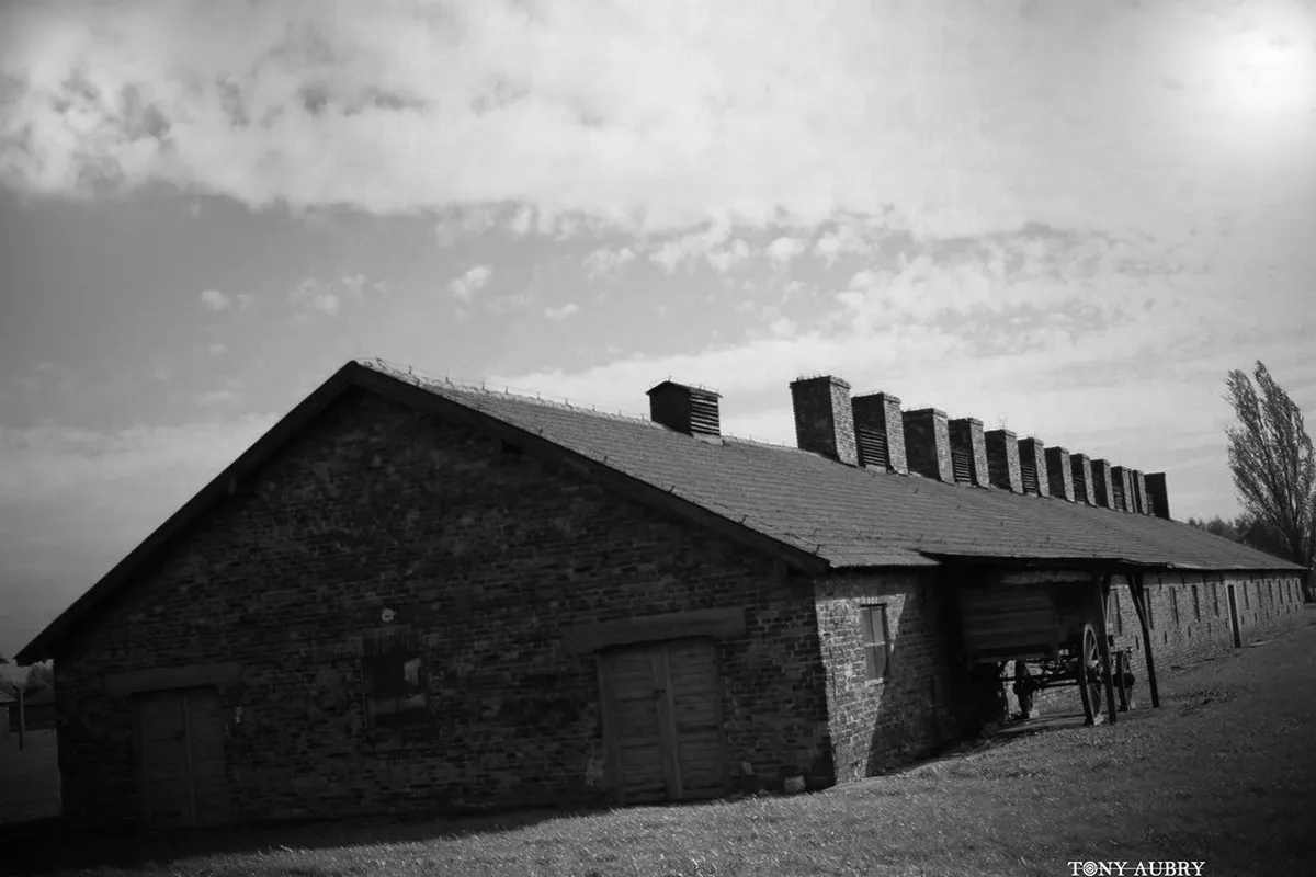 Beaune Non-Touristy Restaurants: Top Local Eats for 2025