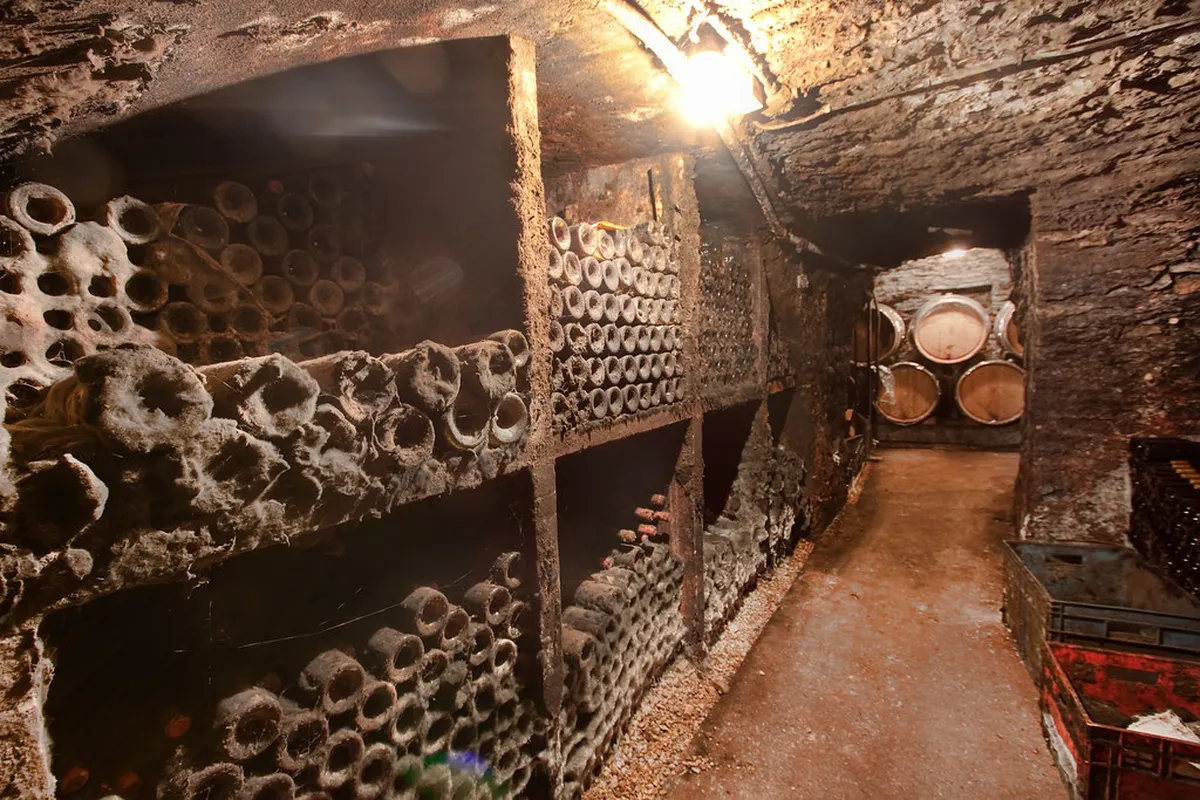 Beaune Secret Viewpoints: Uncover Hidden City Views