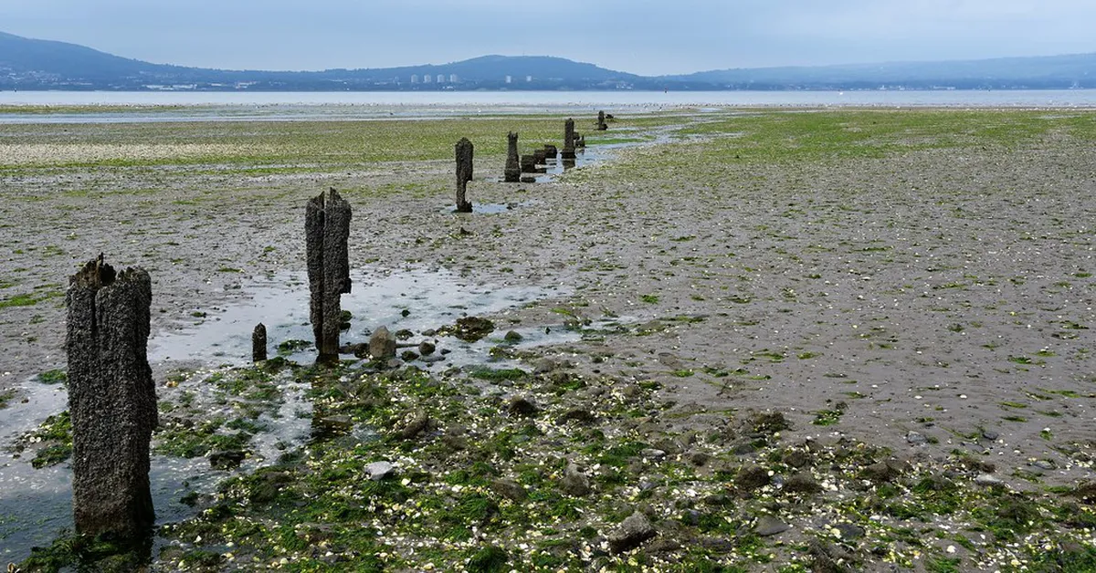 Discovering Belfast's Hidden Gems: A 2025 Guide