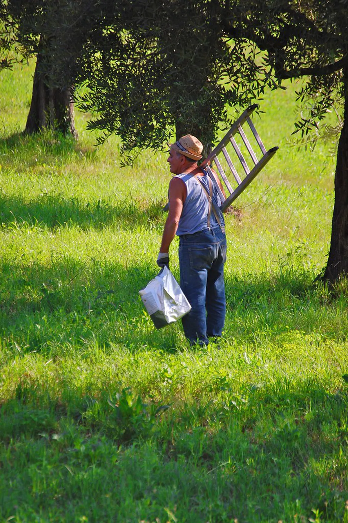 Bellagio Best Local Guides: Expert 2025 Tour Options