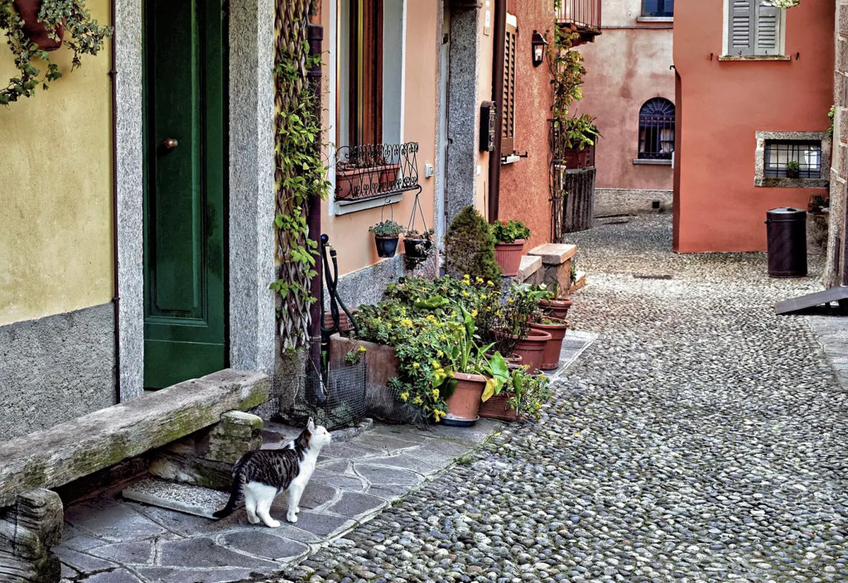 Bellagio Quiet Lakeside Spots: Find Your Peace in 2025