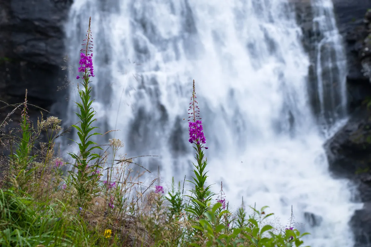 Discover Bergen's Hidden Gems: An Authentic 2025 Guide