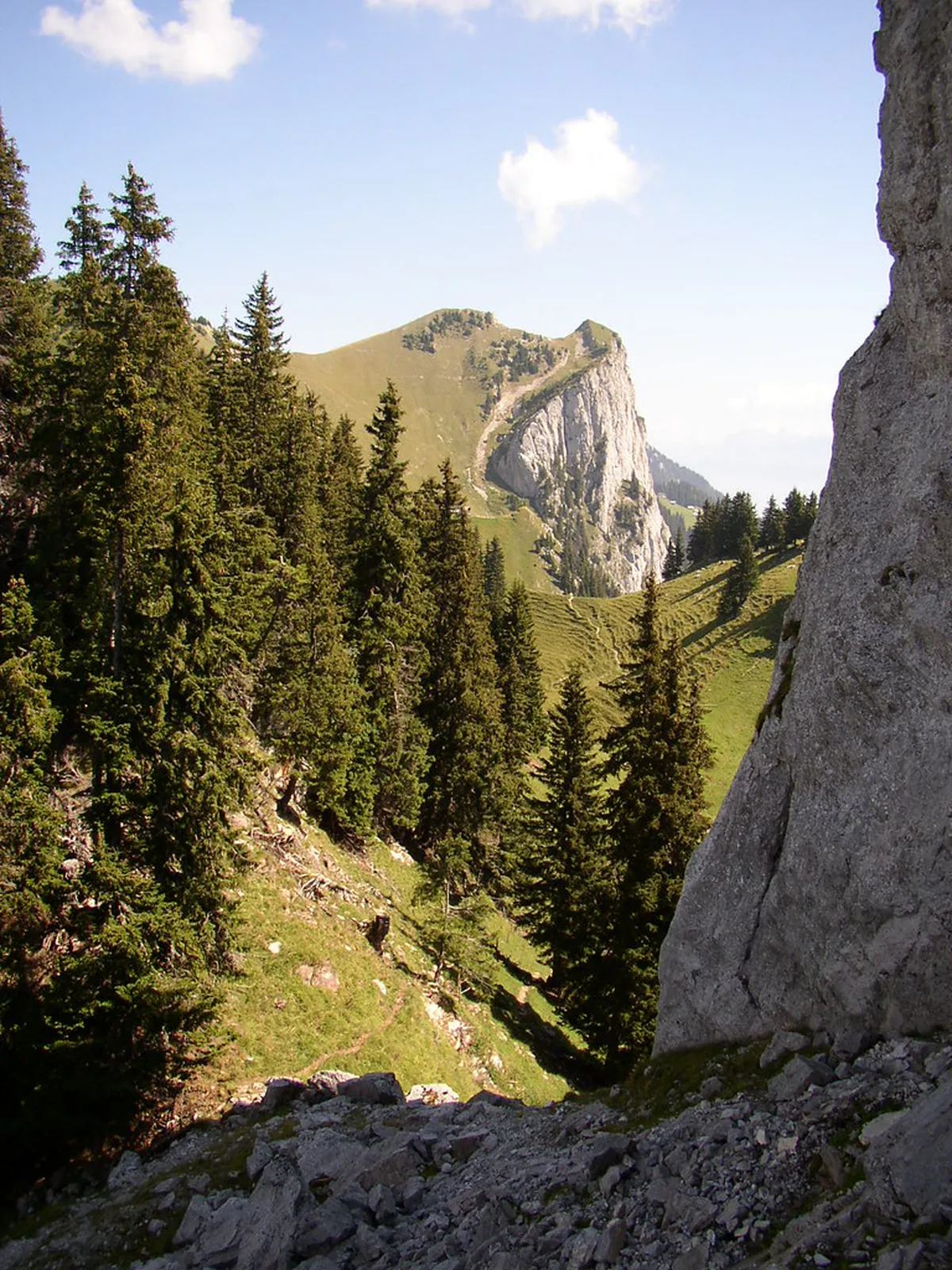 Bern Hidden Restaurant Finds: Top Culinary Secrets 2025