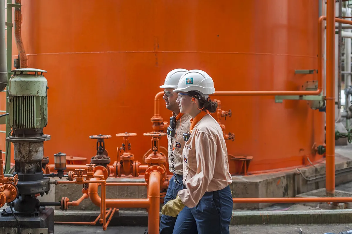 Discover the Best A Coruña Local Markets in 2025