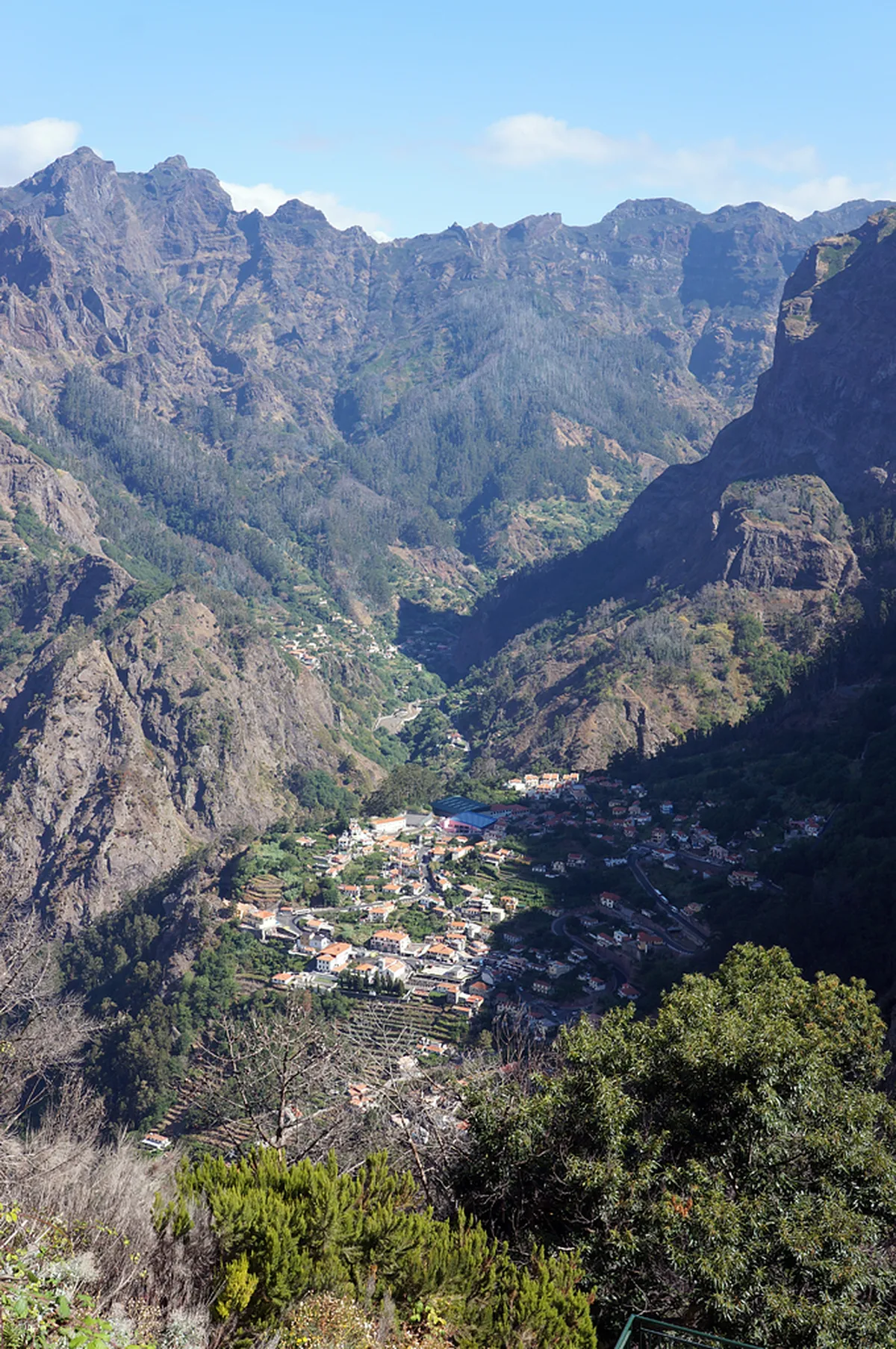 Discover the Best Funchal Local Eats in 2025