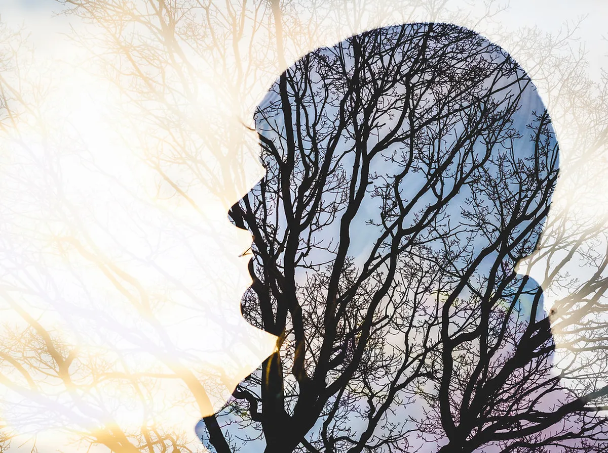 Helsingør Viewpoint Spots: Best Views & Panoramas in 2025