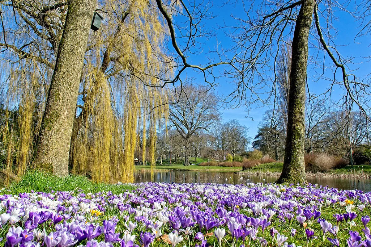 Best Leeuwarden Local Pubs: Your 2025 Guide