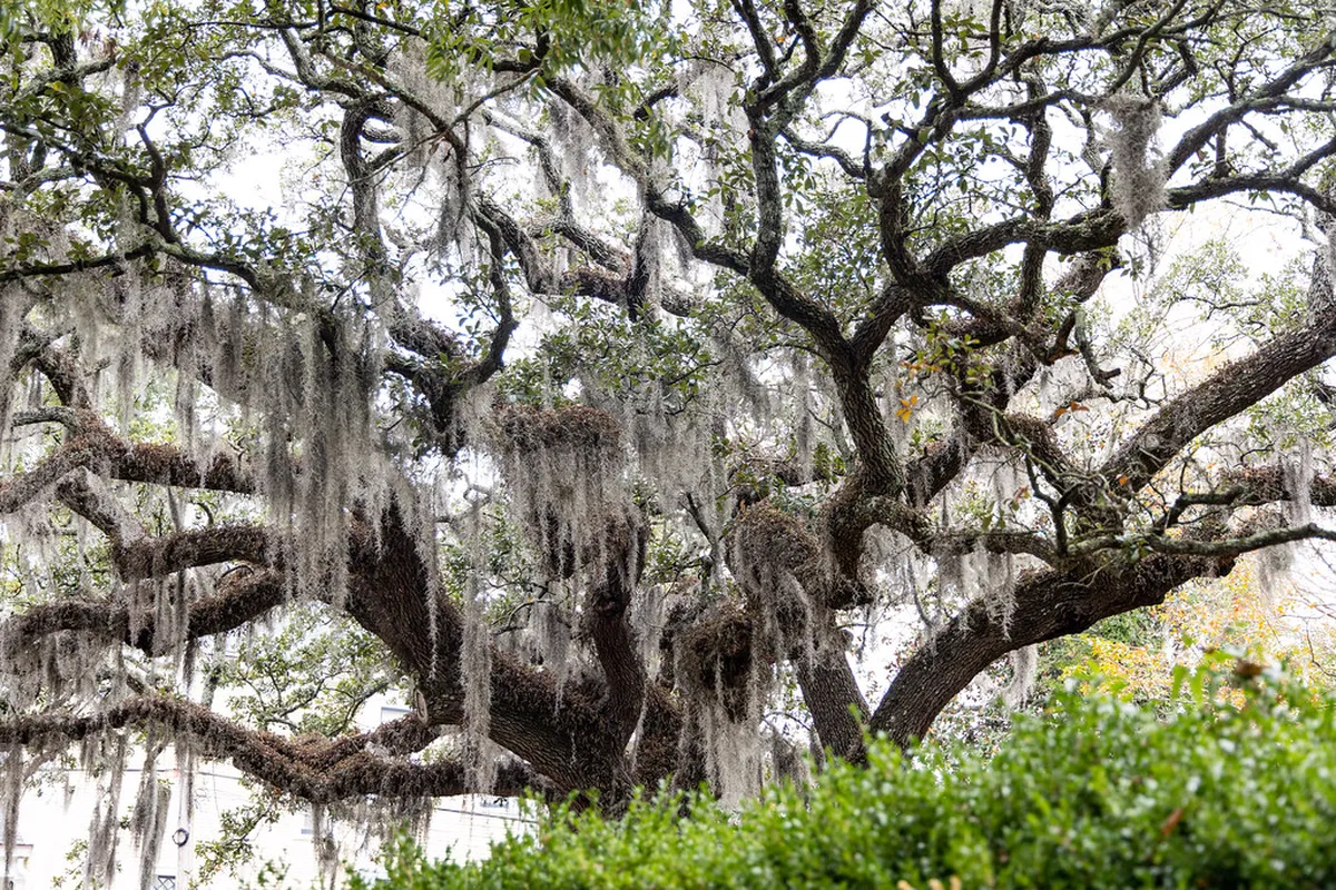 Discover the Best Local Hanover Markets in 2025