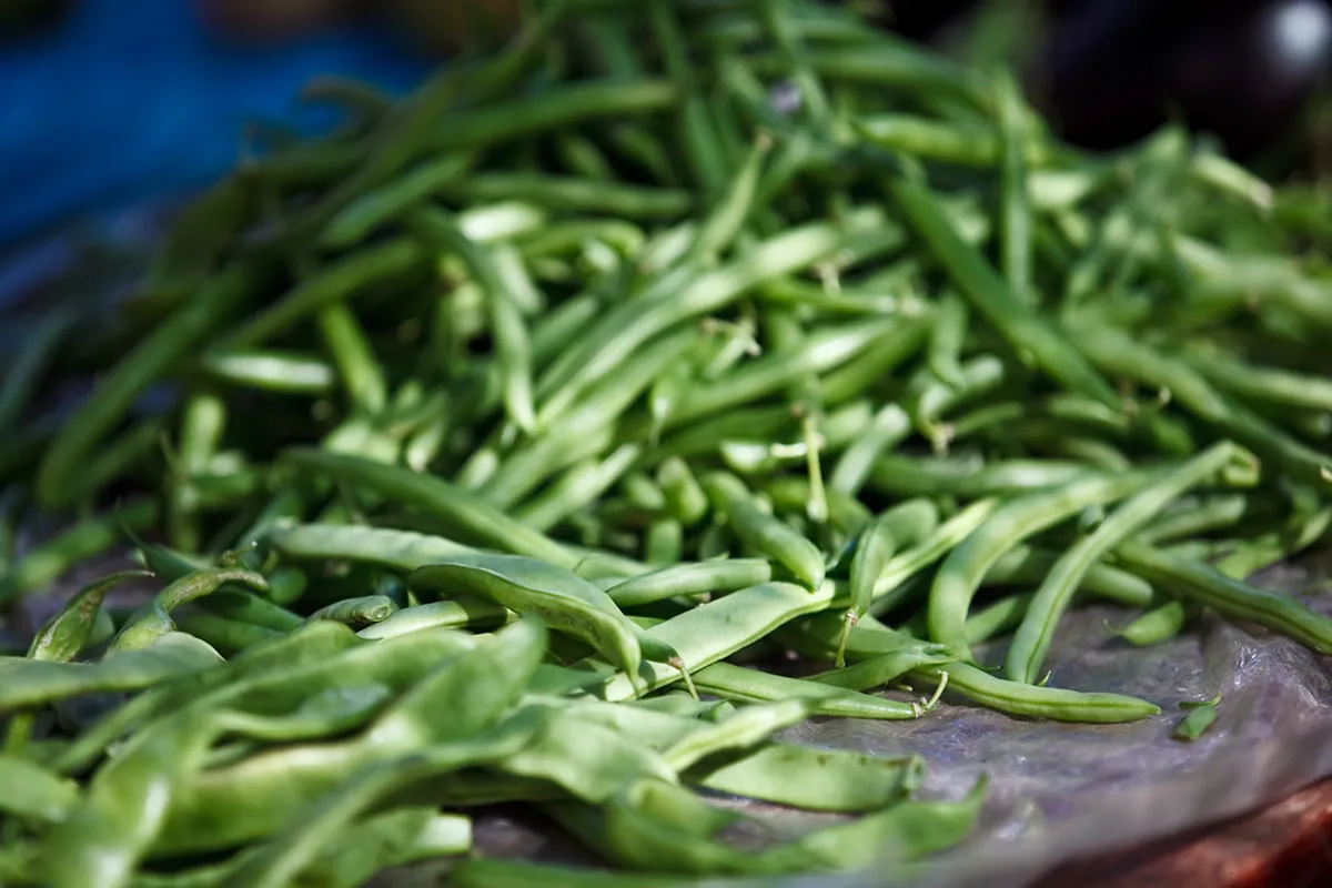 Best Local Restaurants in Zadar: Authentic Croatian Eats for 2025