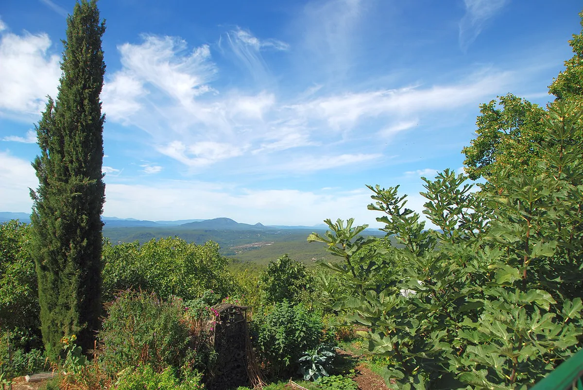 Discover the Best Local Silves Taverns in 2025