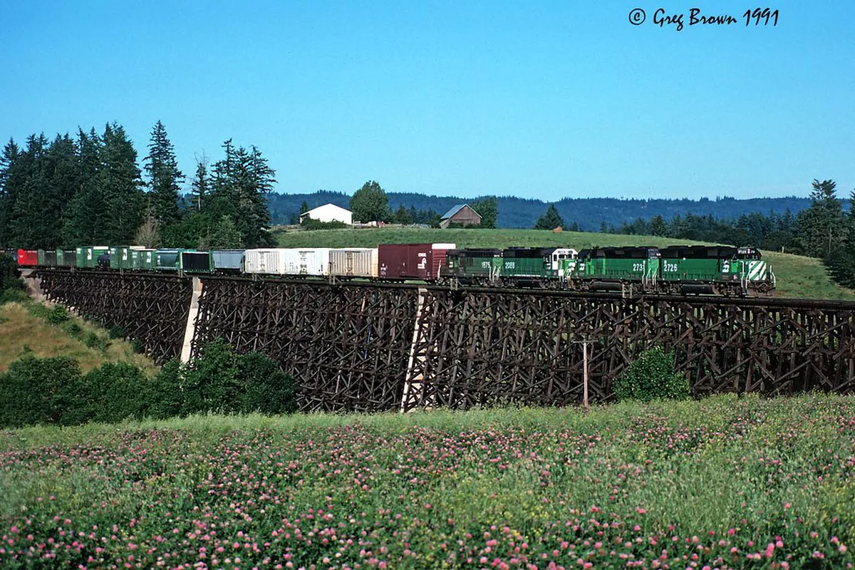 Discover the Best Local Taverns in Limassol 2025