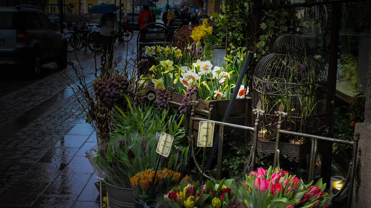 Malmö's Secret Viewpoints 2025: Uncover Hidden City Panoramas