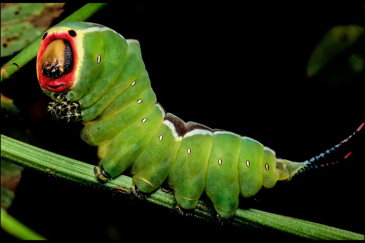 Discover the Best Moscow Speakeasies for 2025