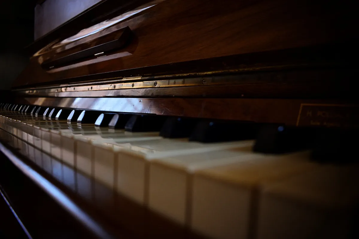 Padua Hidden Restaurants: Your 2025 Dining Guide