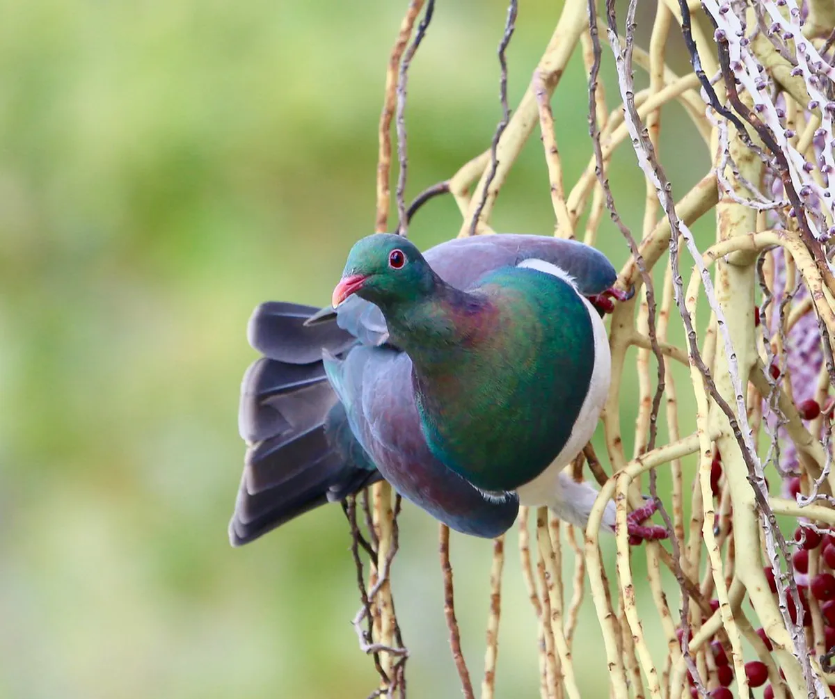 Find the Best Quiet Lucerne Spots in 2025: Your Peace Guide