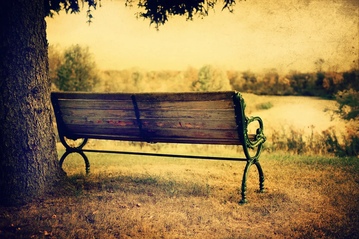 Best Quiet Parks Varna: Peaceful Green Escapes in 2025