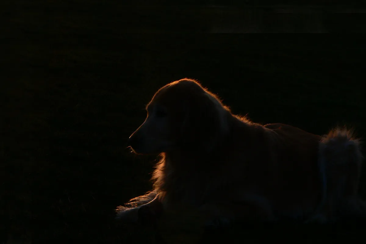 Discover the Best Quiet Walks Calvi Offers in 2025