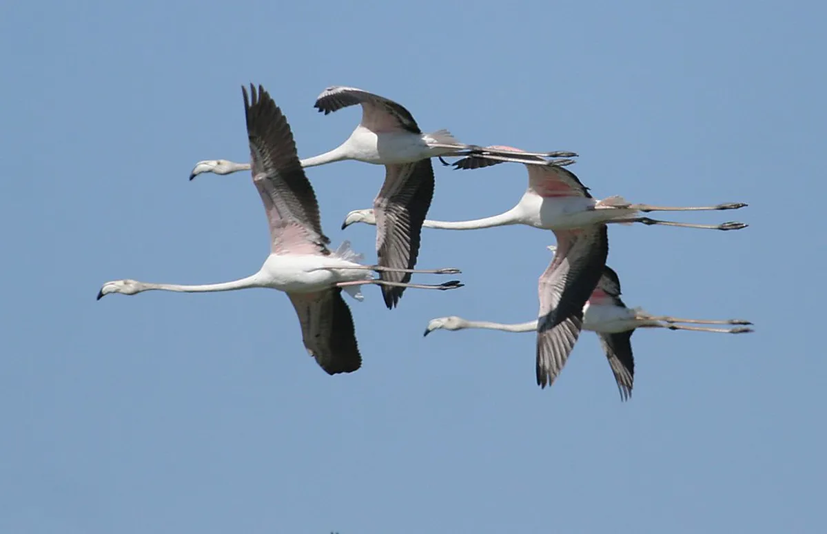 Best Silves Morning Markets: A Guide for 2025