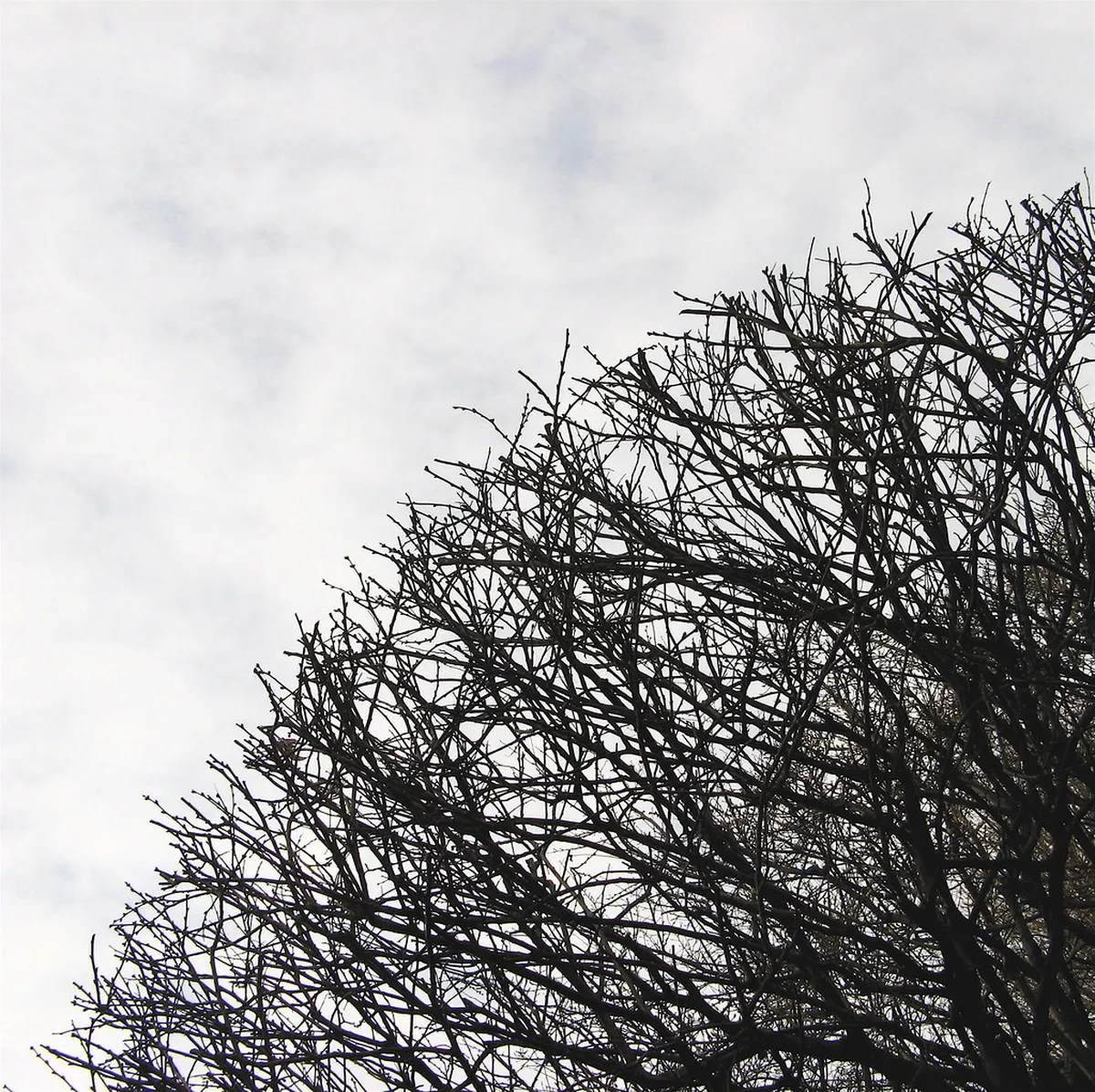 Best Time Arrecife Crowds: When to Visit for Peace in 2025