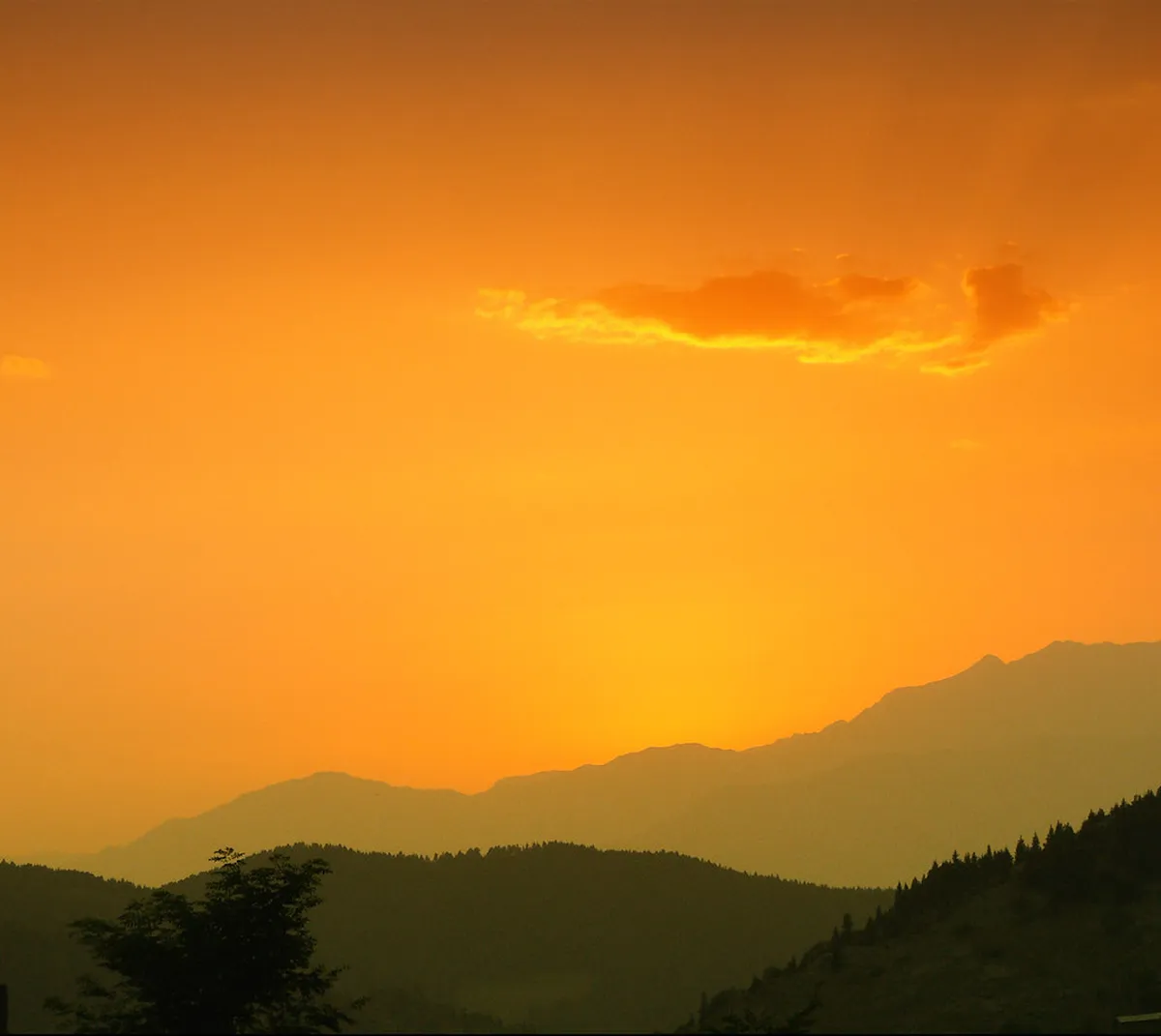 Best Trabzon Hidden Beaches: Your 2025 Coastal Guide