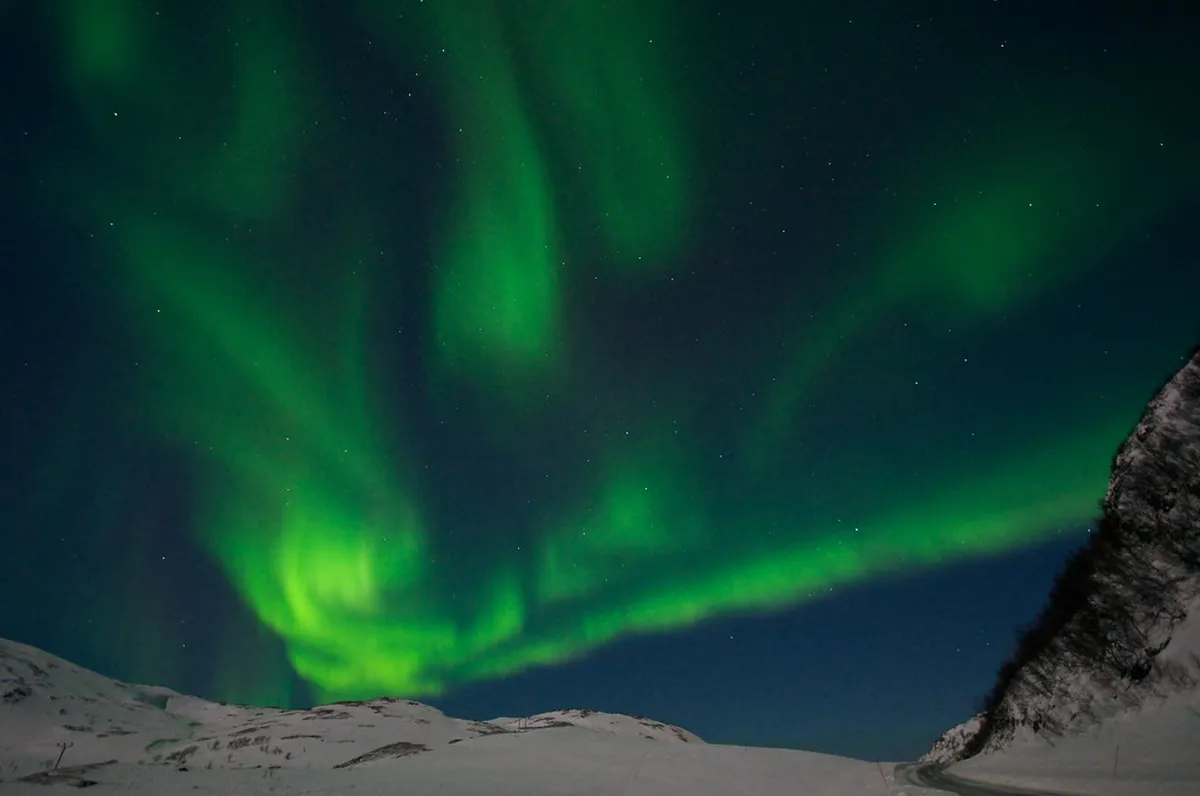 Best Tromsø Local Eateries: A 2025 Food Guide