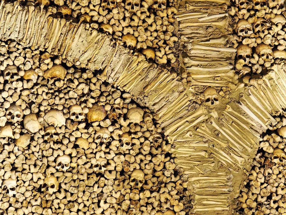 Best Évora Hidden Cafes: Discover Secret Coffee Spots for 2025