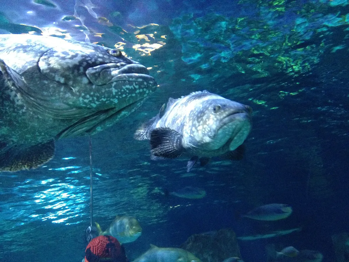 Explore Billund's Lesser Known Attractions in 2025