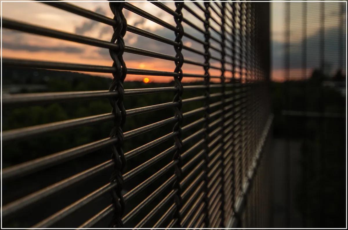 Uncover Bonn's Hidden Gems: A 2025 Travel Guide