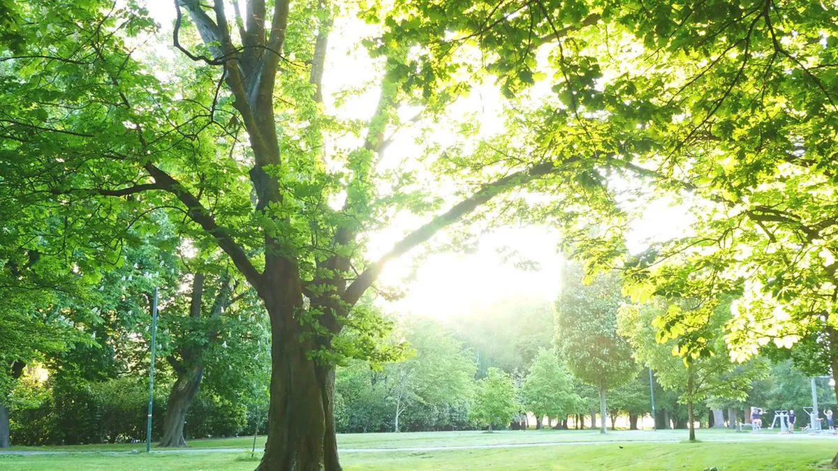 Book Kotor Private Tours: Your Ultimate 2025 Guide