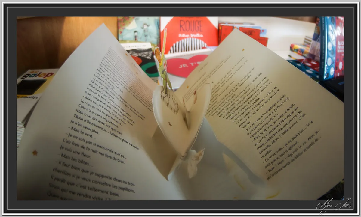 Book Metz Walking Tour: Your Guide to Exploring the City