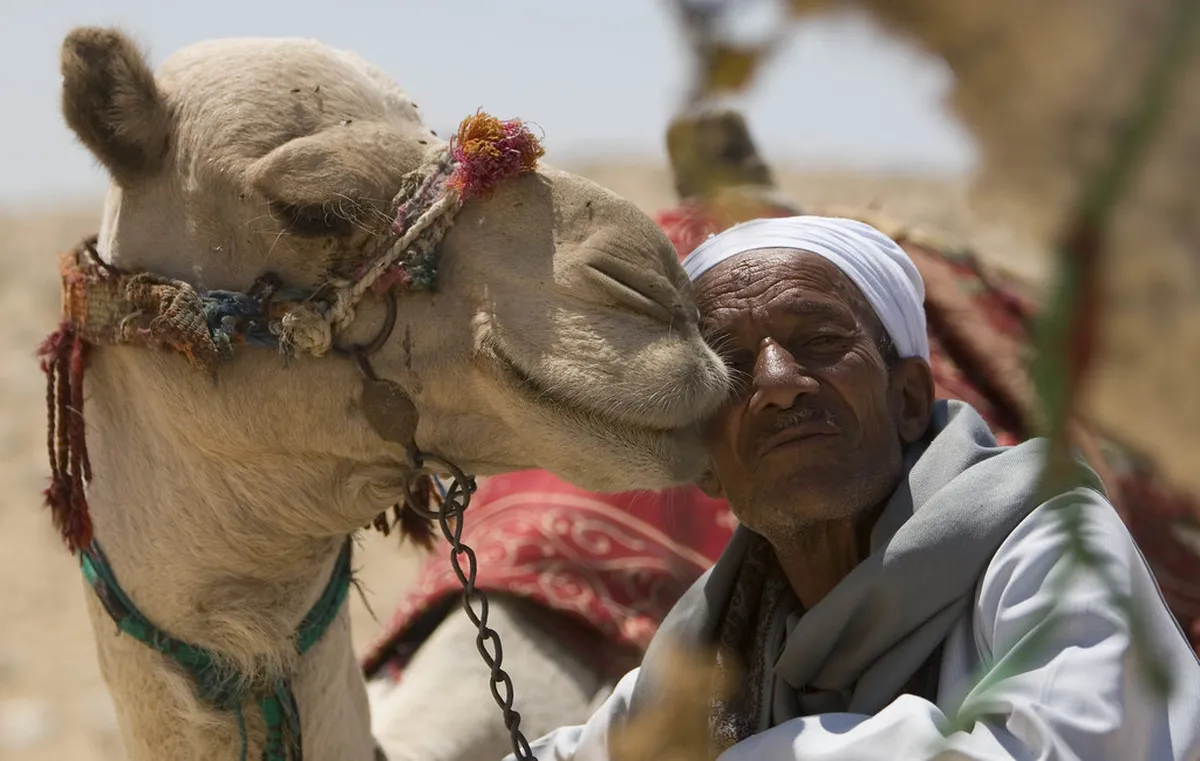 Bosa Local Food Secrets: A Culinary Journey in 2025