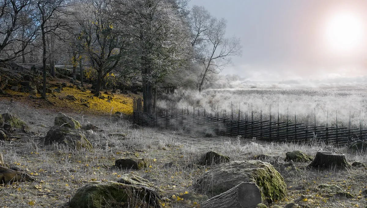 Bremen's Secret Photo Spots: A 2025 Photography Guide