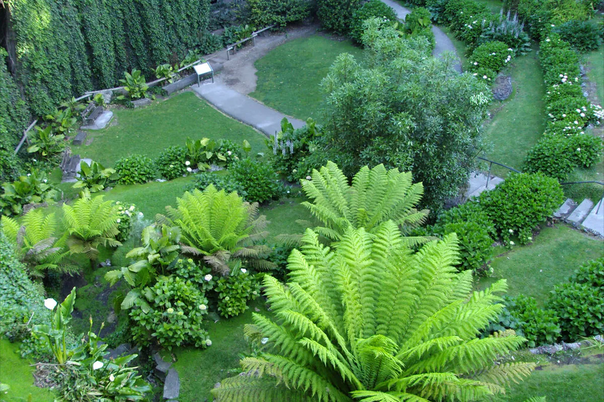 Brighton Unusual Walks: Explore Hidden Gems in 2025